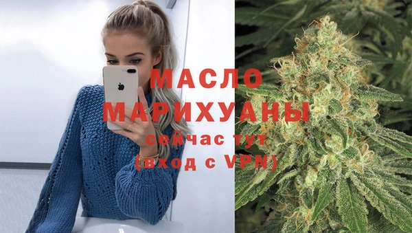 спиды Дубна