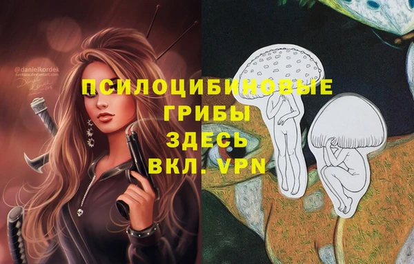 соль курить ск Абаза