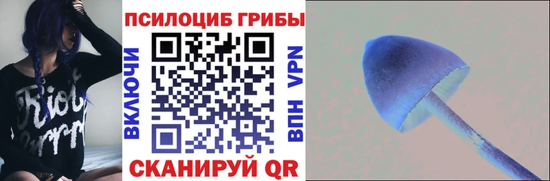 Галлюциногенные грибы мицелий  Алексин 